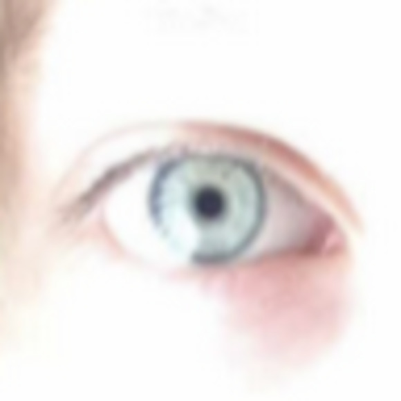 Meet your Posher, Sadie - Picture 1 of 1